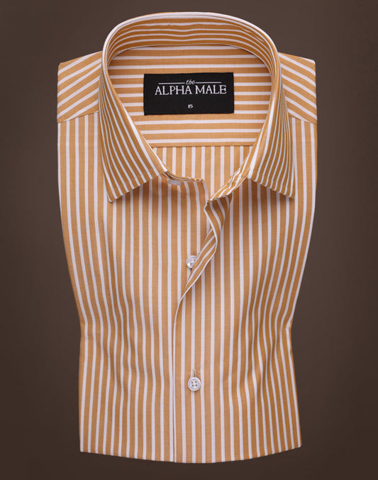 Brown & White Oxford Stripes