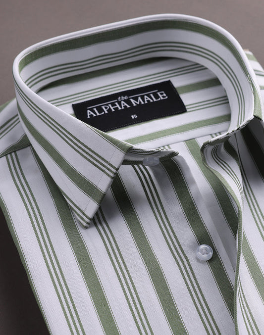 Awning Stripes in White & Green